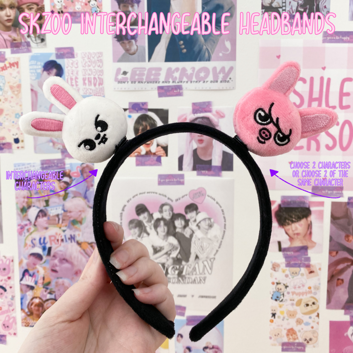 Interchangeable Headband