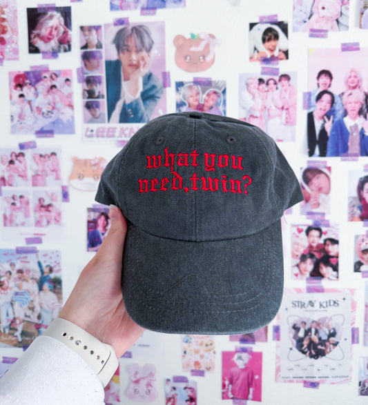 What you need, Twin? Embroidered Hat