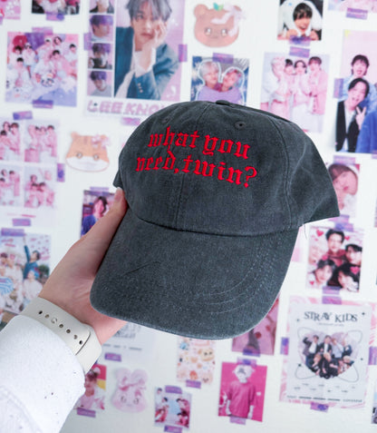 What you need, Twin? Embroidered Hat