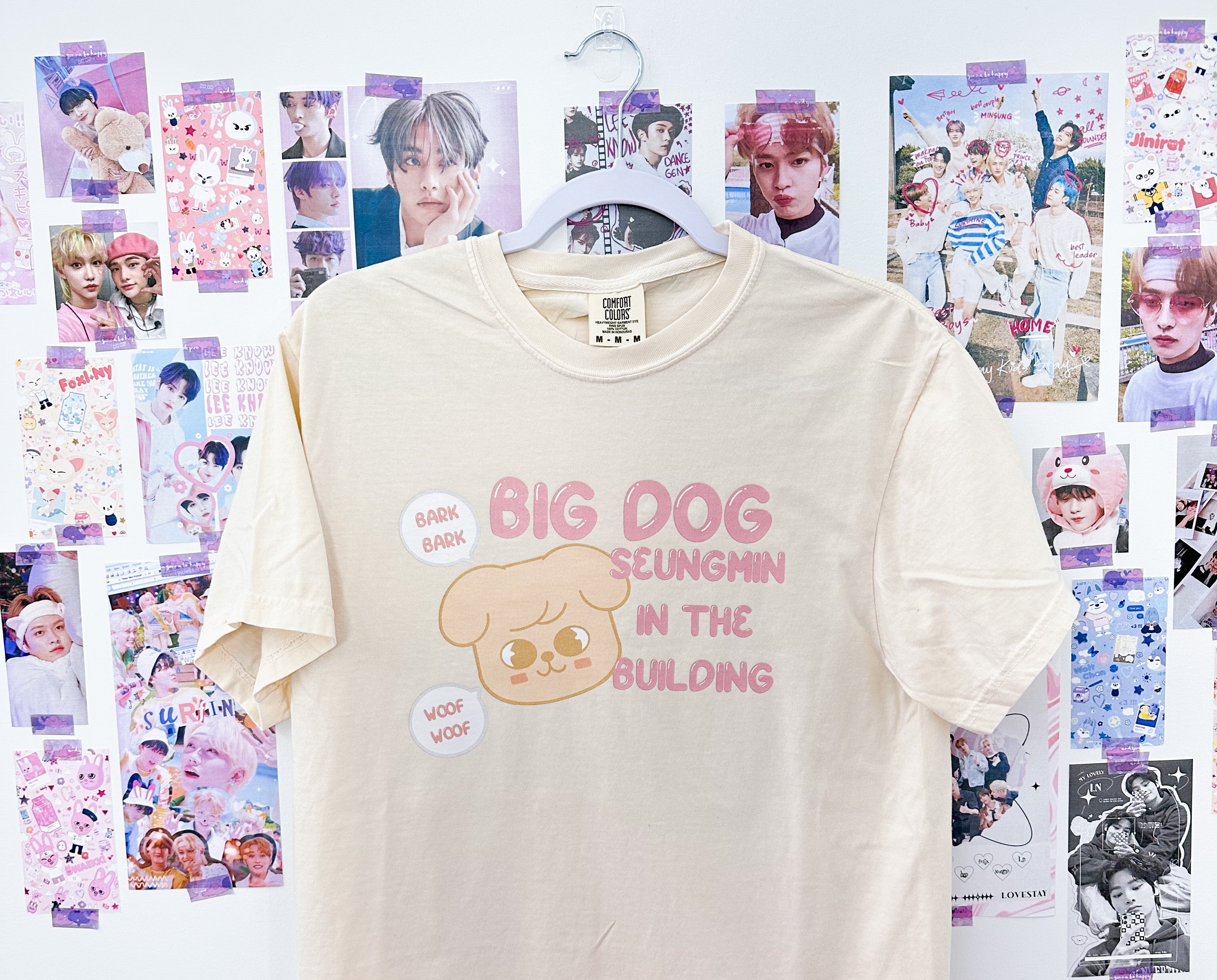 Big Dog Seungmin Tshirt – ashleyspersona