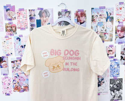 Big Dog Seungmin Tshirt